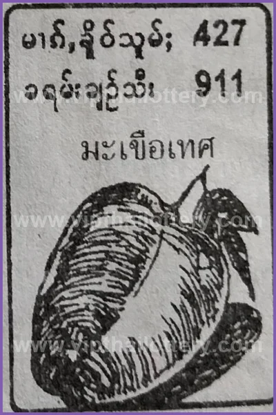 Thai Lottery 100% Sure Number VIP Paper Numbers 16-05-2026