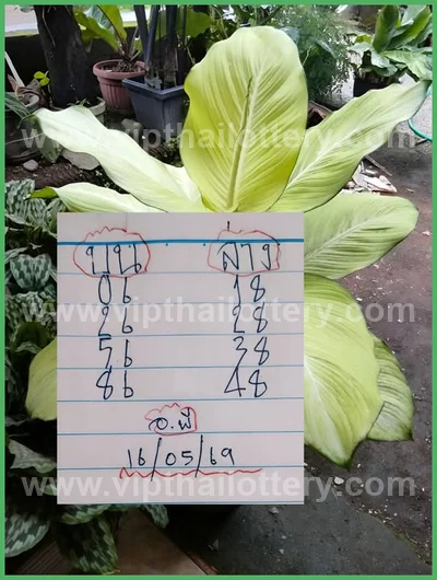 Thailand Lottery 100% Sure Number Final Game 3Up 16.05.26