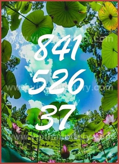 Thailand Lottery 100% Sure Number Final Game 3Up 16.05.26