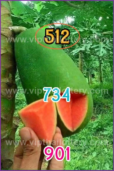 Thai Lottery Sure namber Direct Game Touch Paper 16/05/2026