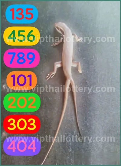 Thai Lottery Sure namber Direct Game Touch Paper 16/05/2026
