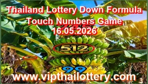 Thailand Lottery Down Formula Touch Numbers Game 16.05.2026