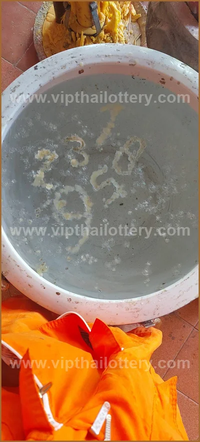 Thailand Lottery Down Result Winning Master 1st June 2026