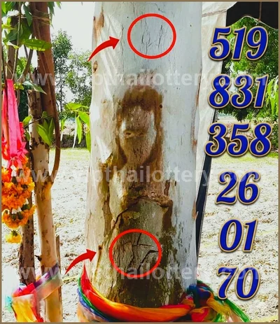 Thailand Lottery Down VIP Formula Final Game Set 1-6-2026