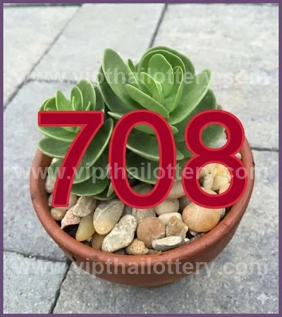 Thailand Lottery Down VIP Formula Final Game Set 1-6-2026