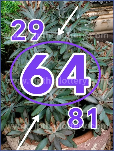 Thai Lottery HTF Result Formula Direct Set Game 01-06-2026