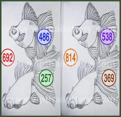 Thai Lotto 3Up Winning 3d Tips Direct Sure namber 1-6-2026