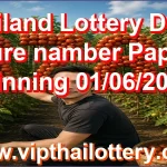 Thailand Lottery Down Sure namber Paper Winning 01/06/2026