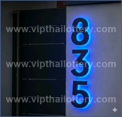 Thailand Lottery Down 100% Sure Number 3d Tips 01/06/2026