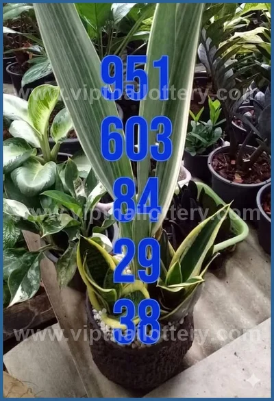 Thai Lottery Direct 3Up Sure namber Cut Digit 1st June 2026