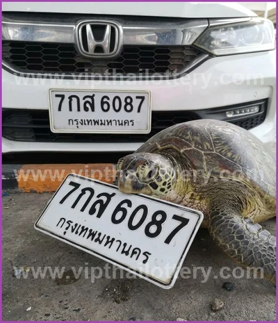 Thailand Lottery Final Game Non-Miss Paper HTF 01 June 2026