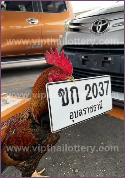 Thailand Lottery Final Game Non-Miss Paper HTF 01 June 2026