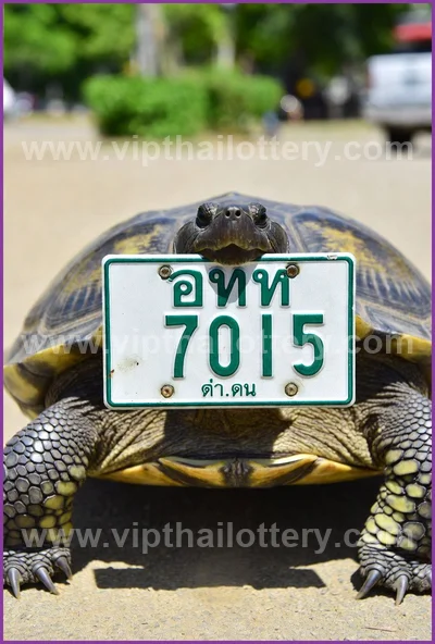 Thai Lotto Lucky 3d Tips Numbers Paper Direct HTF 01.06.26