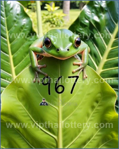 Thai Lotto Lucky 3d Tips Numbers Paper Direct HTF 01.06.26