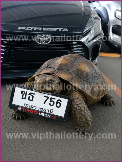 Thai Lotto Lucky 3d Tips Numbers Paper Direct HTF 01.06.26