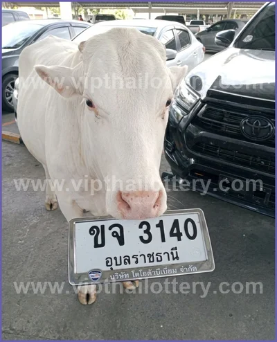 Thai Lotto Lucky 3d Tips Numbers Paper Direct HTF 01.06.26