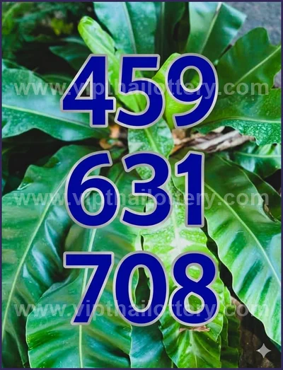 Thailand Lottery Paper Set Game HTF Touch 3Up Tips 01.6.2026