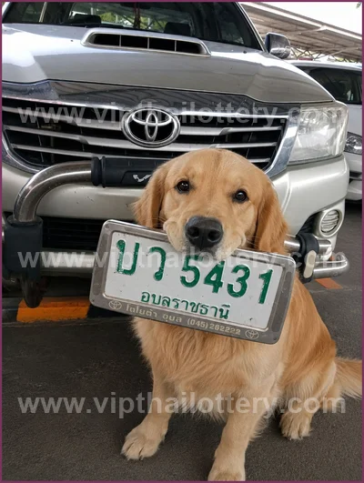 Thailand Lottery Down VIP HTF Touch Tips Set 3Up 01.06.26