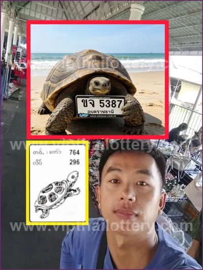 Thailand Lottery Down VIP HTF Touch Tips Set 3Up 01.06.26