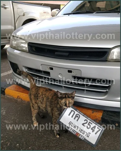 Thailand Lottery Down Touch Numbers Final Game Set 01/6/2026
