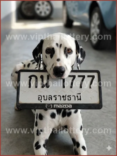 Thai Lotto Paper Non-Miss 100% Sure Number Lucky 01/06/2026