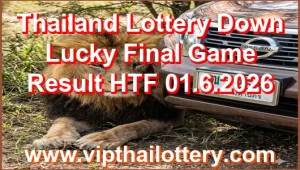 Thailand Lottery Down Lucky Final Game Result HTF 01.6.2026