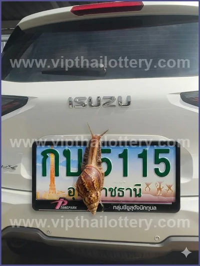Thailand Lottery Down Lucky Final Game Result HTF 01.6.2026