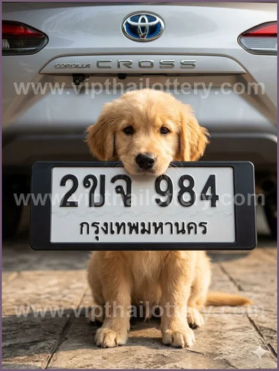 Thailand Lottery Down Lucky Final Game Result HTF 01.6.2026