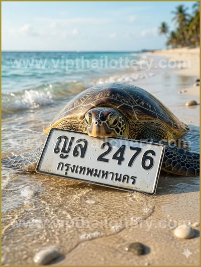 Thailand Lottery 100% Sure Number Winning Lucky Set 1-6-2026