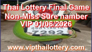 Thai Lottery Final Game Non-Miss Sure namber VIP 01/06/2026