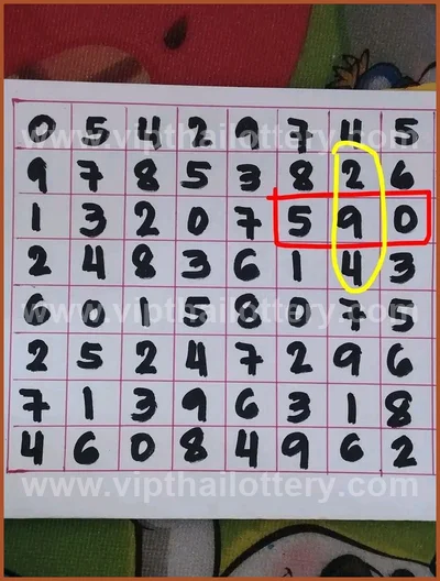 Thai Lottery Final Game Non-Miss Sure namber VIP 01/06/2026