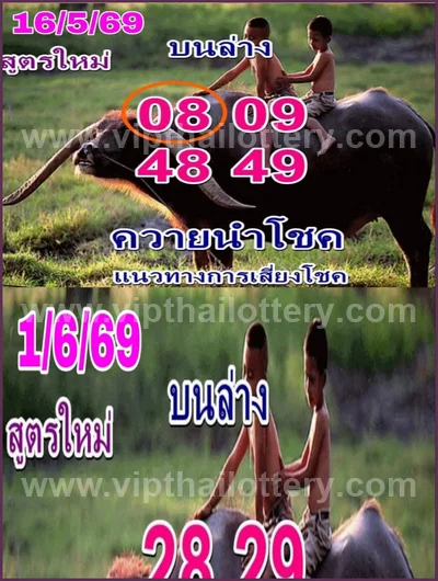 Thai Lottery Final Game Non-Miss Sure namber VIP 01/06/2026