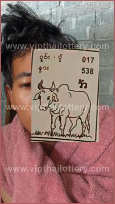 Thailand Lottery Down Cut Digit Paper Touch VIP 16.06.2026