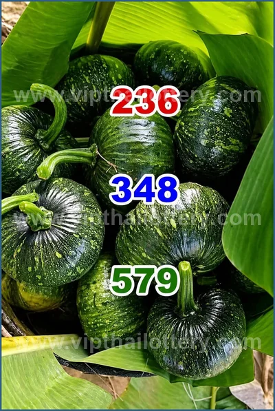 Thailand Lottery Down 3d Tips Direct Numbers 16 June 2026