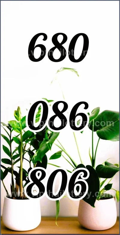 Thailand Lottery Down 3d Tips Direct Numbers 16 June 2026