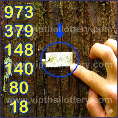 Thailand Lottery Down 3d Tips Direct Numbers 16 June 2026