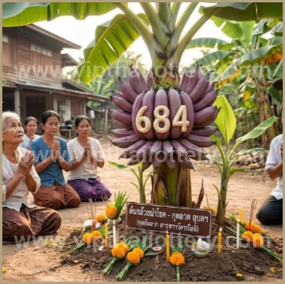 Thai Lotto 3Up 100% Sure Number 3d Tips VIP 16th June 2026
