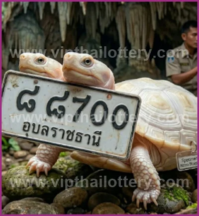 Thai Lotto 3Up 100% Sure Number 3d Tips VIP 16th June 2026