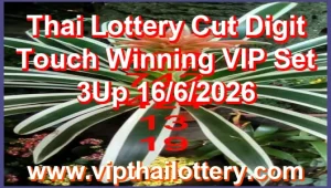 Thai Lottery Cut Digit Touch Winning VIP Set 3Up 16/6/2026