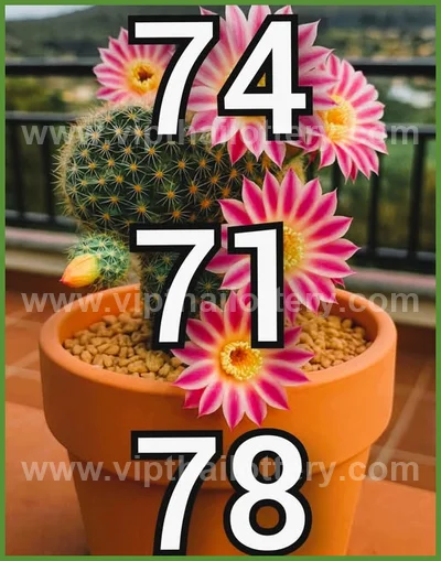 Thai Lottery Cut Digit Touch Winning VIP Set 3Up 16/6/2026