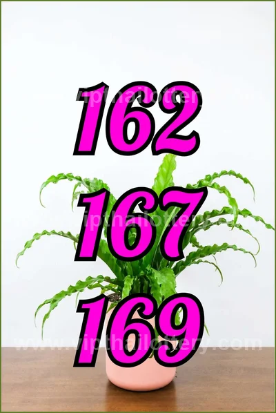 Thai Lottery Cut Digit Touch Winning VIP Set 3Up 16/6/2026