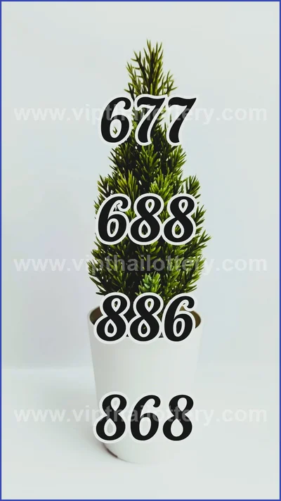 Thai Lottery Cut Digit Touch Winning VIP Set 3Up 16/6/2026
