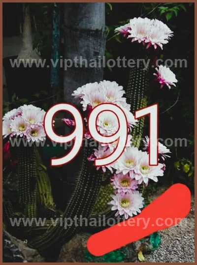 Thai Lottery Cut Digit Touch Winning VIP Set 3Up 16/6/2026