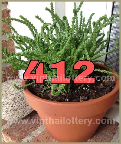 Thai Lottery Cut Digit Touch Winning VIP Set 3Up 16/6/2026