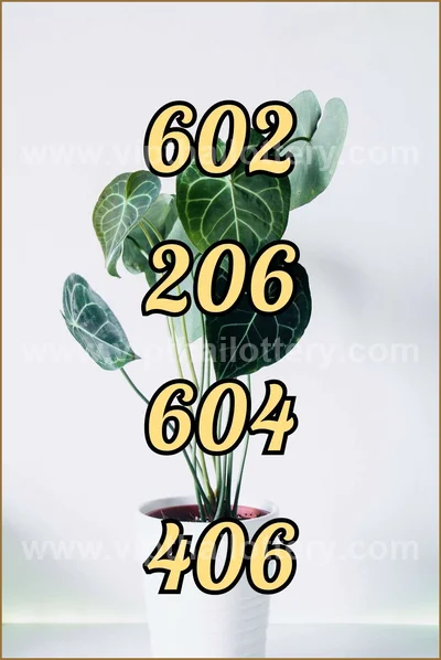 Thai Lottery Cut Digit Touch Winning VIP Set 3Up 16/6/2026