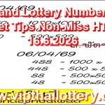 Thailand Lottery Numbers VIP Set Tips Non-Miss HTF 16.6.2026