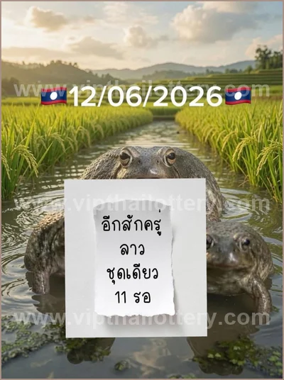Thailand Lottery Numbers VIP Set Tips Non-Miss HTF 16.6.2026