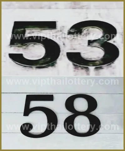 Thailand Lottery Numbers VIP Set Tips Non-Miss HTF 16.6.2026