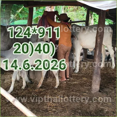 Thailand Lottery Formula Non-Miss Numbers Paper 16-06-2026