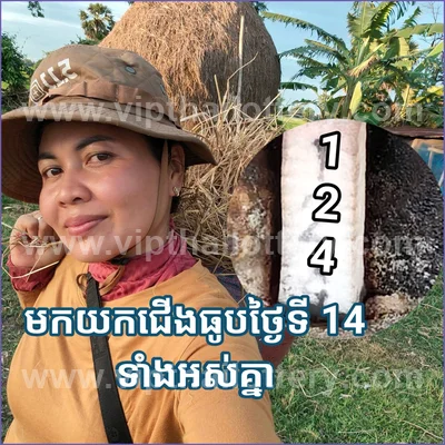 Thailand Lottery Sure namber Final Game Result VIP 16-6-2026